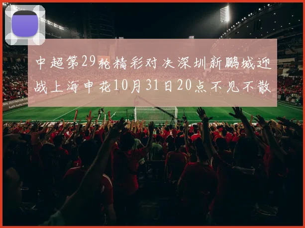 中超第29轮精彩对决深圳新鹏城迎战上海申花10月31日20点不见不散