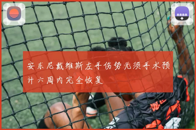 安东尼戴维斯左手伤势无须手术预计六周内完全恢复
