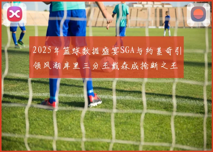 2025年篮球数据盛宴SGA与约基奇引领风潮库里三分王戴森成抢断之王