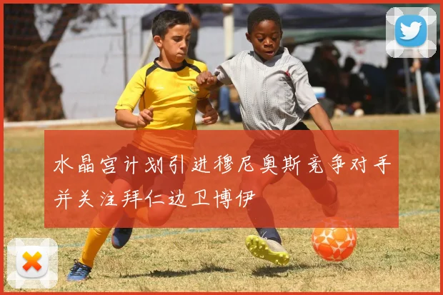 水晶宫计划引进穆尼奥斯竞争对手并关注拜仁边卫博伊