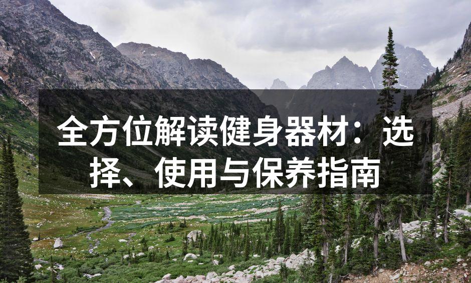 多样化的健身器材选择