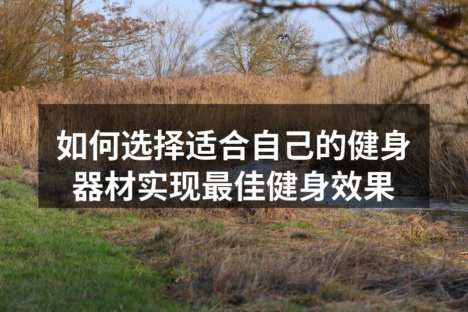专业健身器材让锻炼更高效